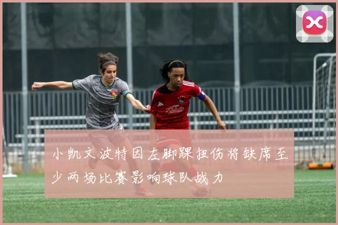 小凯文波特因左脚踝扭伤将缺席至少两场比赛影响球队战力
