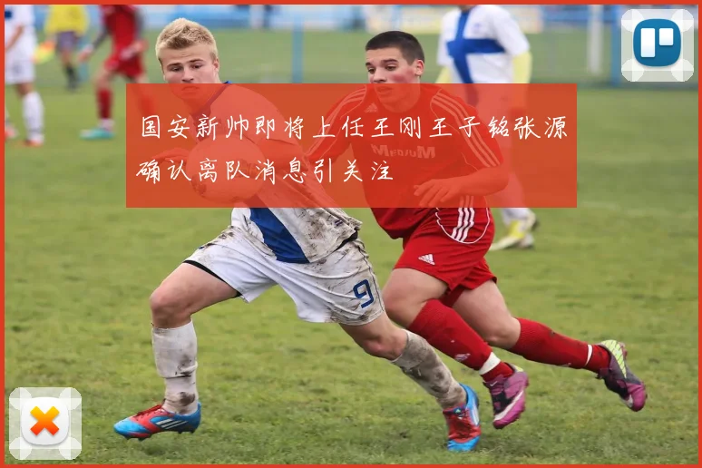 国安新帅即将上任王刚王子铭张源确认离队消息引关注