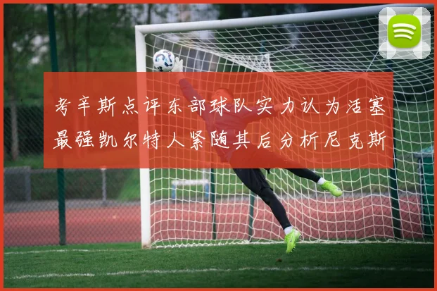 考辛斯点评东部球队实力认为活塞最强凯尔特人紧随其后分析尼克斯不足之处